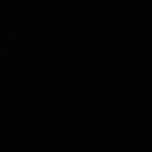 Meet your Posher, Estella